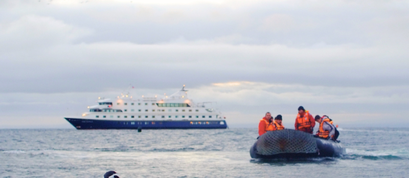 Cruzeiro Australis - até 30% Off